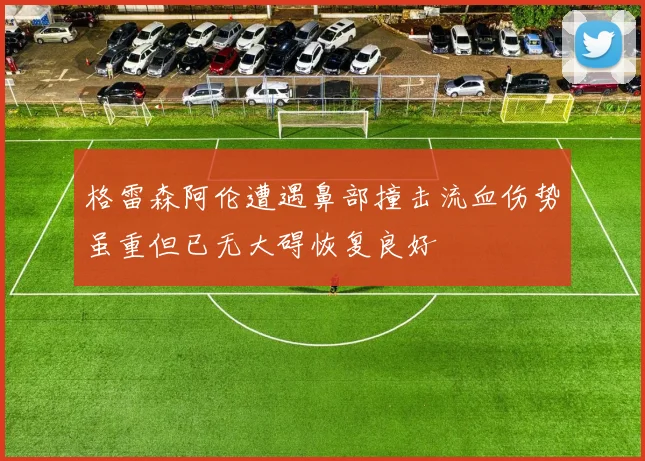 格雷森阿伦遭遇鼻部撞击流血伤势虽重但已无大碍恢复良好